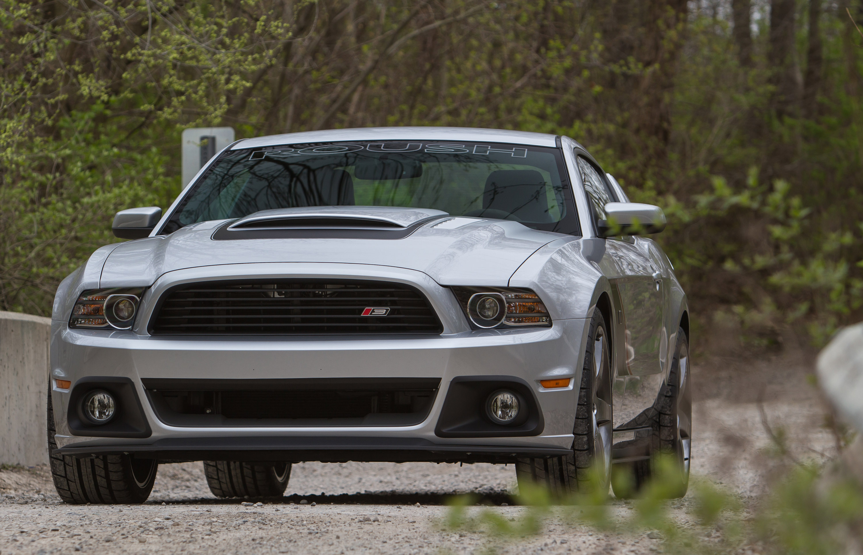 ROUSH Ford Mustang photo #4