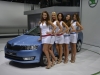 2013 SKODA Rapid thumbnail photo 851