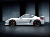 2013 Techart Porsche Cayman thumbnail photo 14064