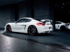 2013 Techart Porsche Cayman thumbnail photo 14065