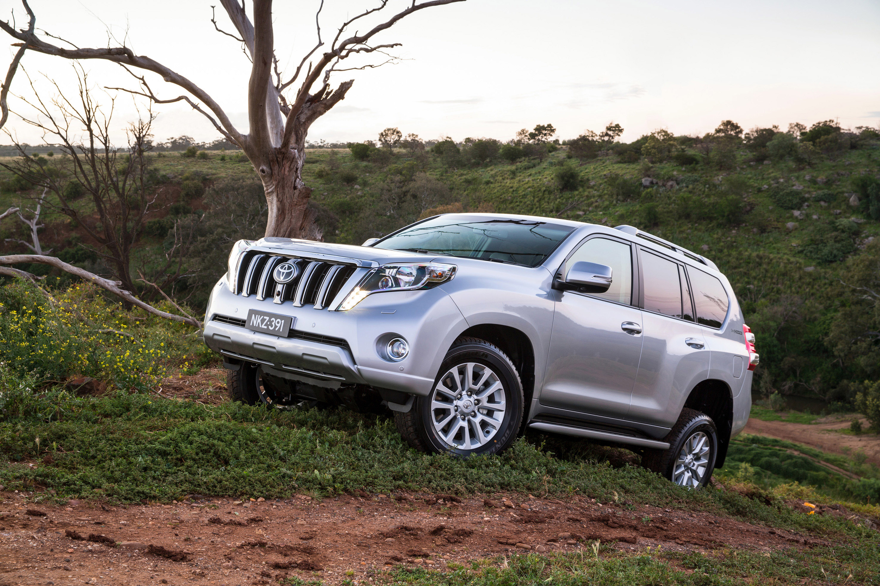 2013 Toyota Prado - HD Pictures @ carsinvasion.com