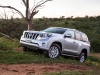 2013 Toyota Prado thumbnail photo 29060