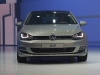 2013 Volkswagen Golf thumbnail photo 1195