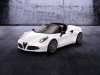 2014 Alfa Romeo 4C Spider Concept thumbnail photo 48955