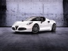 2014 Alfa Romeo 4C Spider Concept thumbnail photo 48956