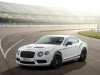 2014 Bentley Continental GT3-R thumbnail photo 67180