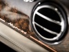 2014 Bentley Hybrid Concept thumbnail photo 56647