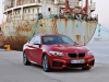 2014 BMW 2 Series Coupe thumbnail photo 25206