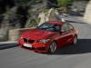 2014 BMW 2 Series Coupe thumbnail photo 25210