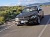 2014 BMW 5-Series thumbnail photo 9644