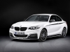 2014 BMW M235i Coupe thumbnail photo 33300