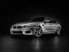 2014 BMW M6 Gran Coupe thumbnail photo 10932