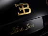 2014 Bugatti Veyron Black Bess thumbnail photo 57374