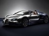 2014 Bugatti Veyron Ettore Bugatti thumbnail photo 73579