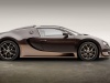 Bugatti Veyron Grand Sport Vitesse Legend Rembrandt Bugatti 2014