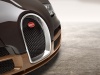 2014 Bugatti Veyron Grand Sport Vitesse Legend Rembrandt Bugatti thumbnail photo 49385