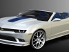 2014 Chevrolet Camaro Spring Special Edition thumbnail photo 28414