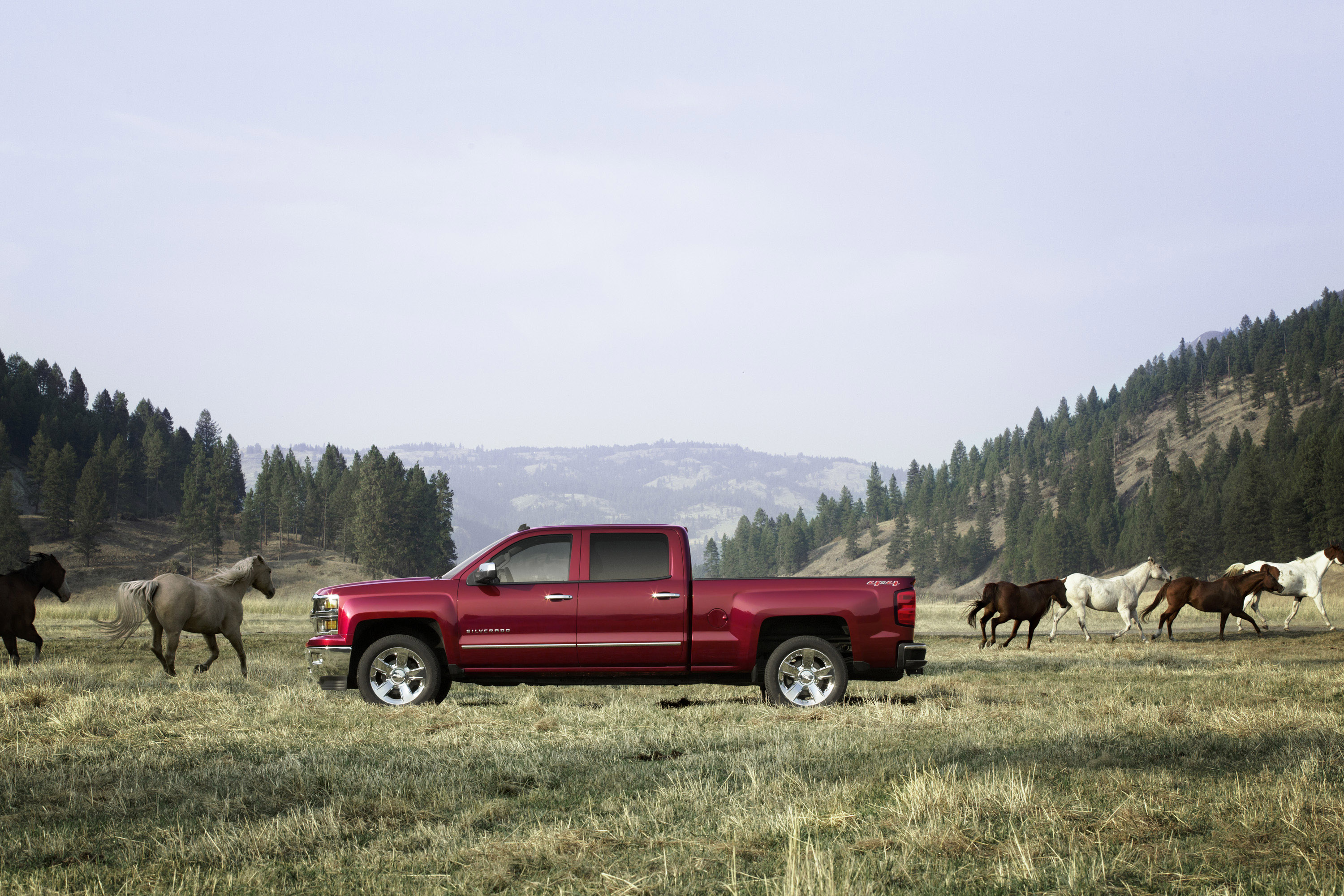 Chevrolet Silverado photo #41
