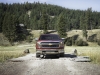 2014 Chevrolet Silverado thumbnail photo 10216