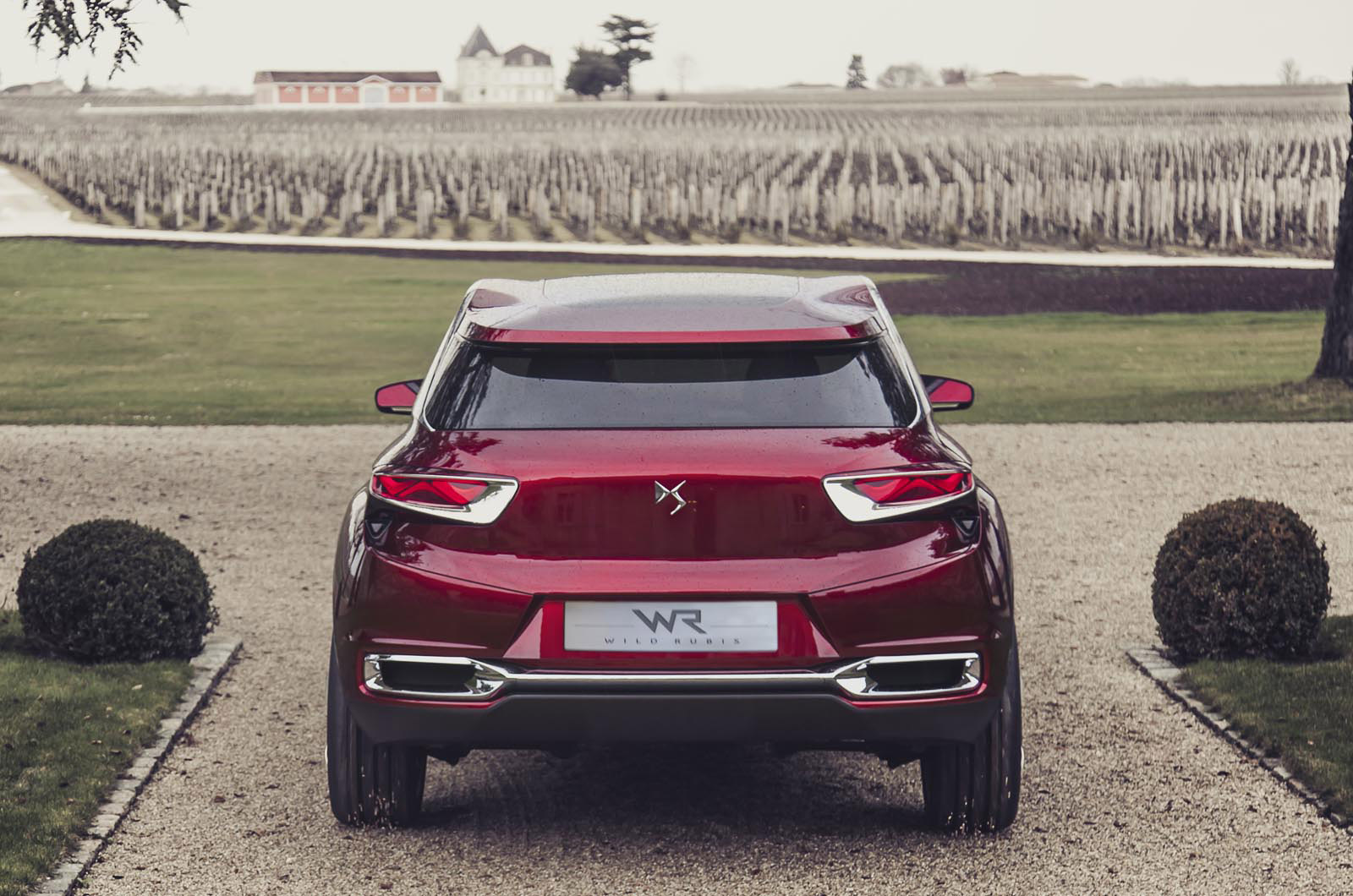 Citroen DS Wild Rubis Concept photo #13