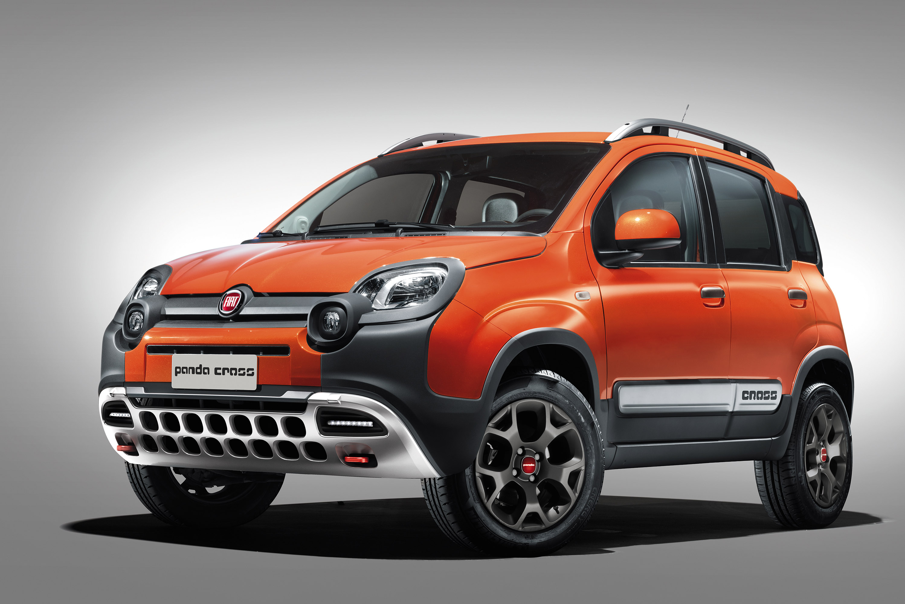 Fiat Panda Cross photo #1