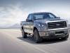 2014 Ford F-150 Tremor thumbnail photo 79097