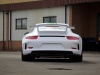 2014 Fostla Porsche 991 GT3 thumbnail photo 57656