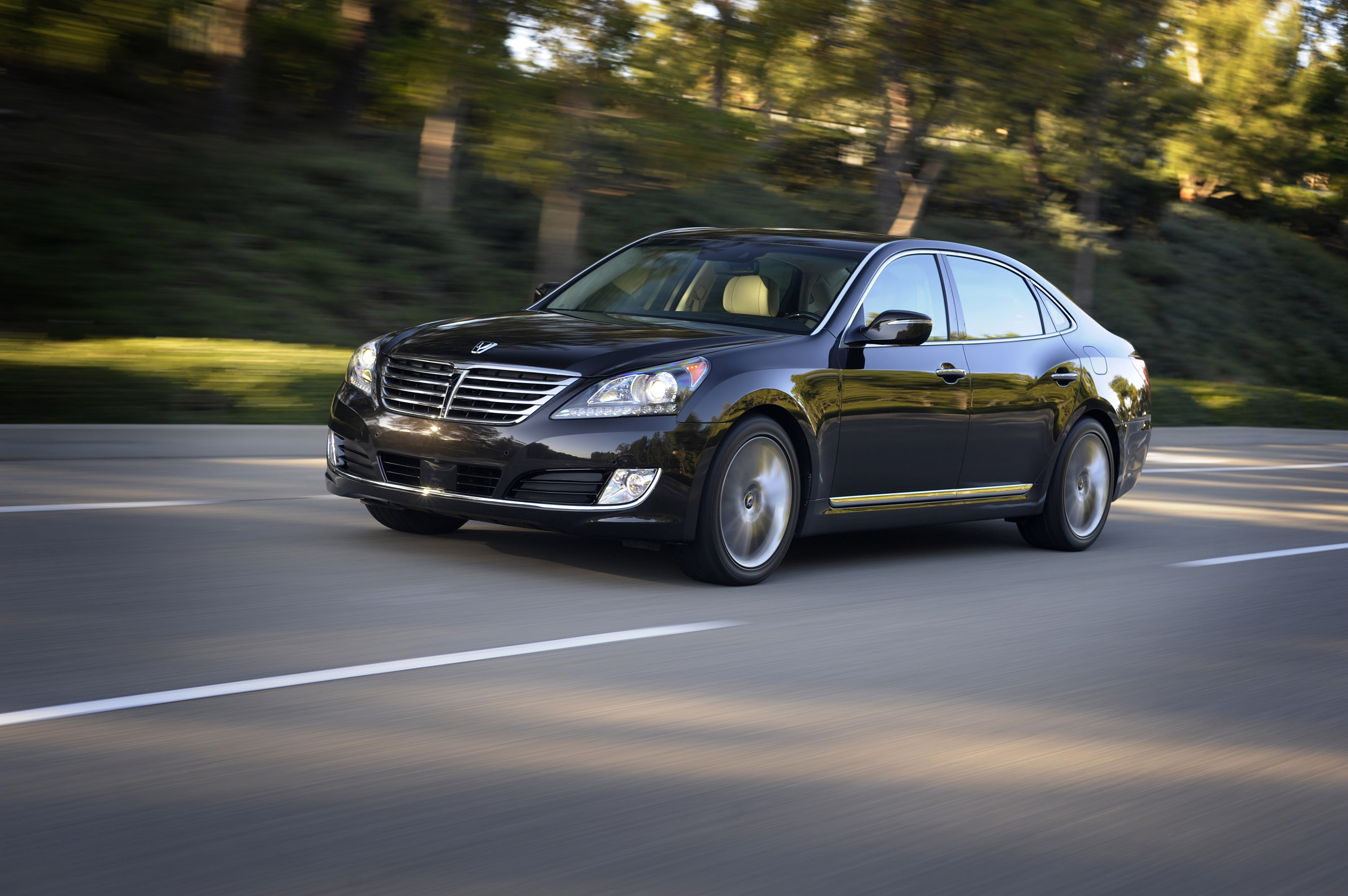 Hyundai Equus photo #3