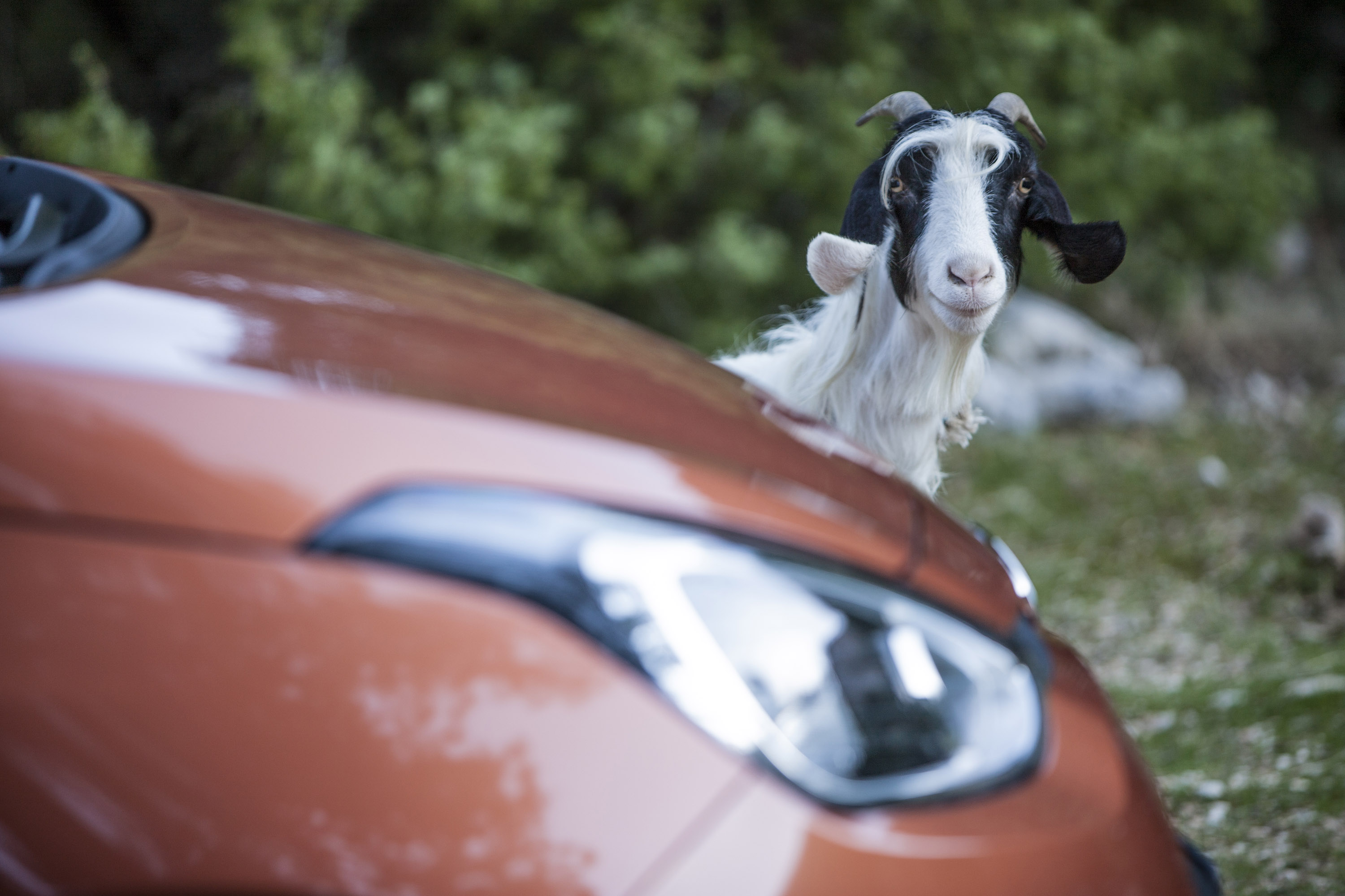 Hyundai i10 photo #77