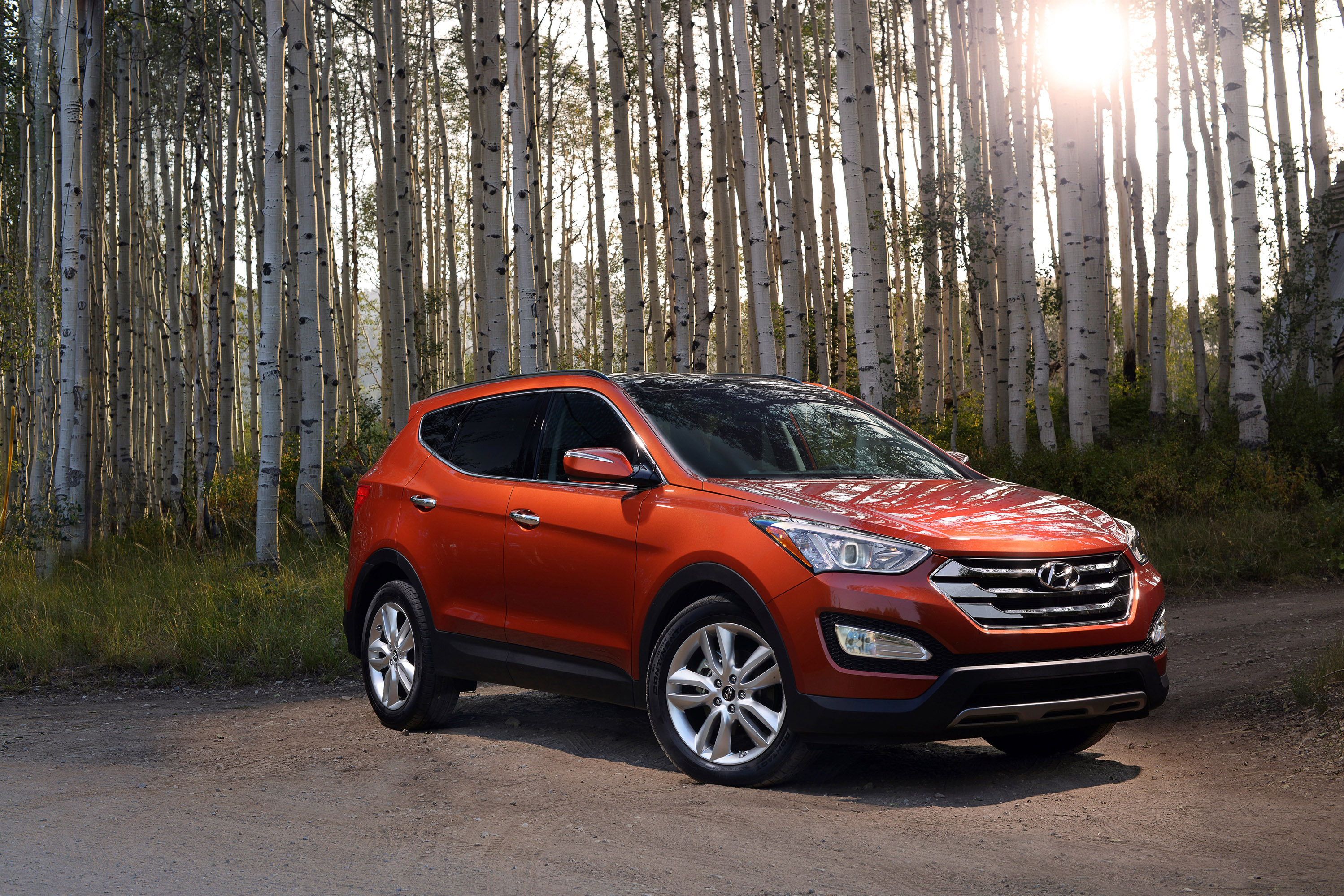 Hyundai Santa Fe Sport photo #1