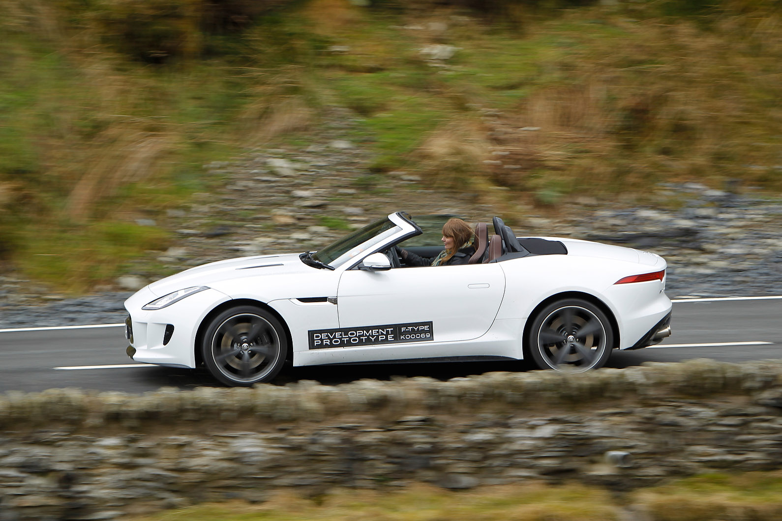 Jaguar F-Type photo #16