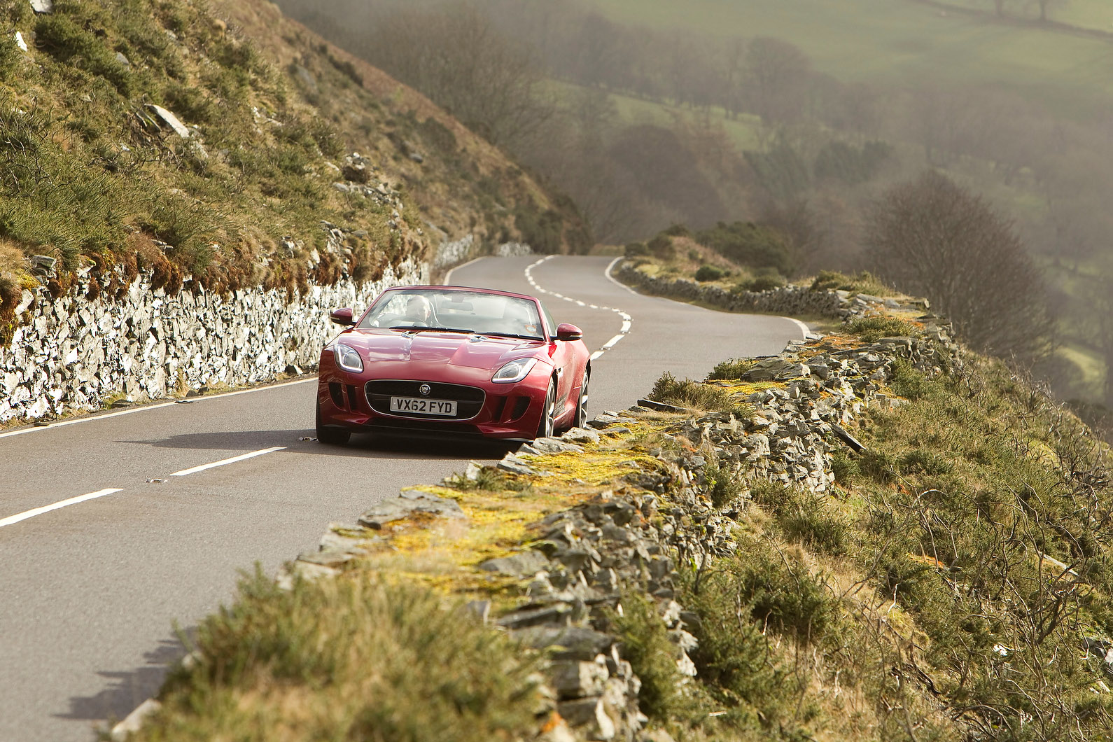 Jaguar F-Type photo #20