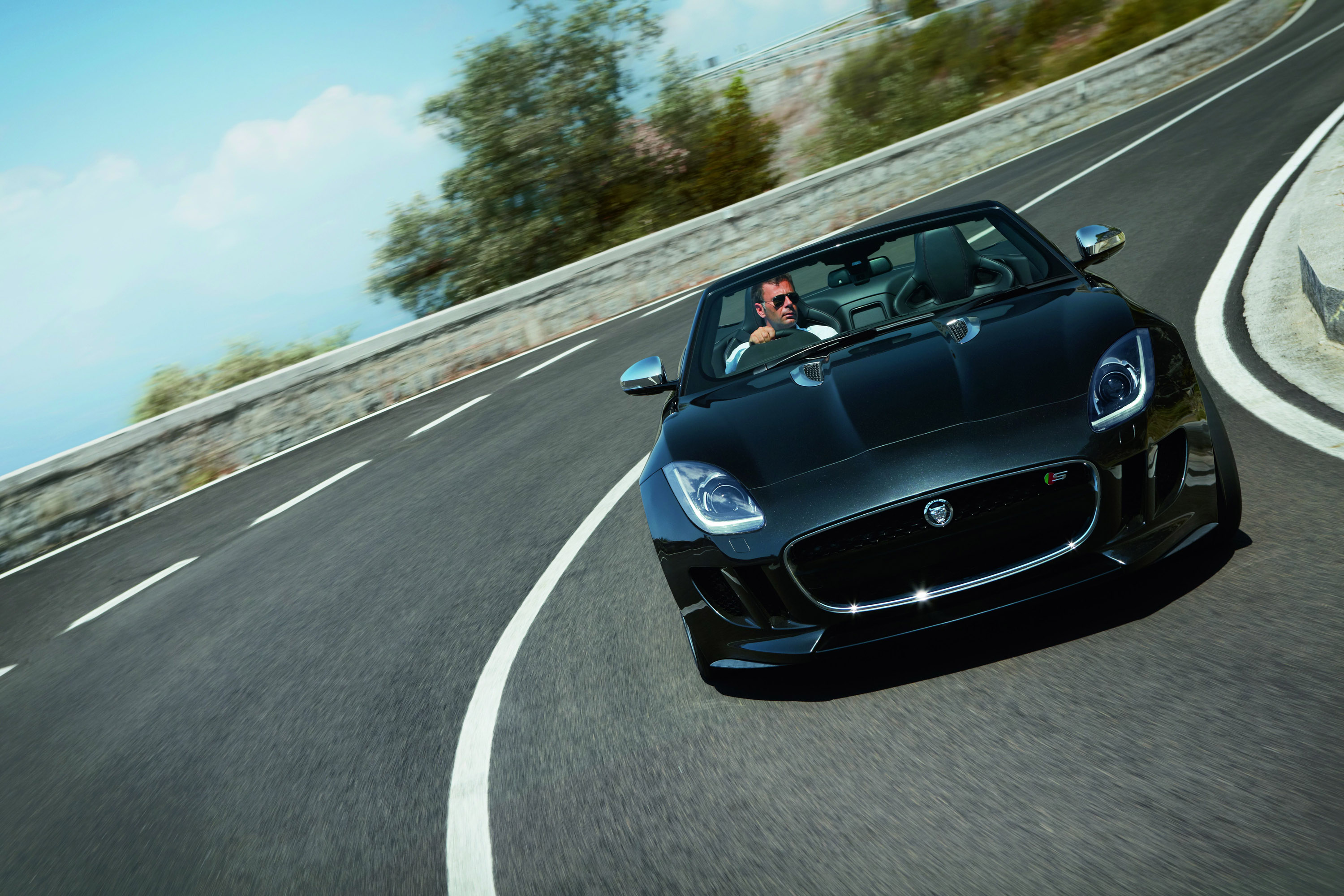 Jaguar F-Type photo #21