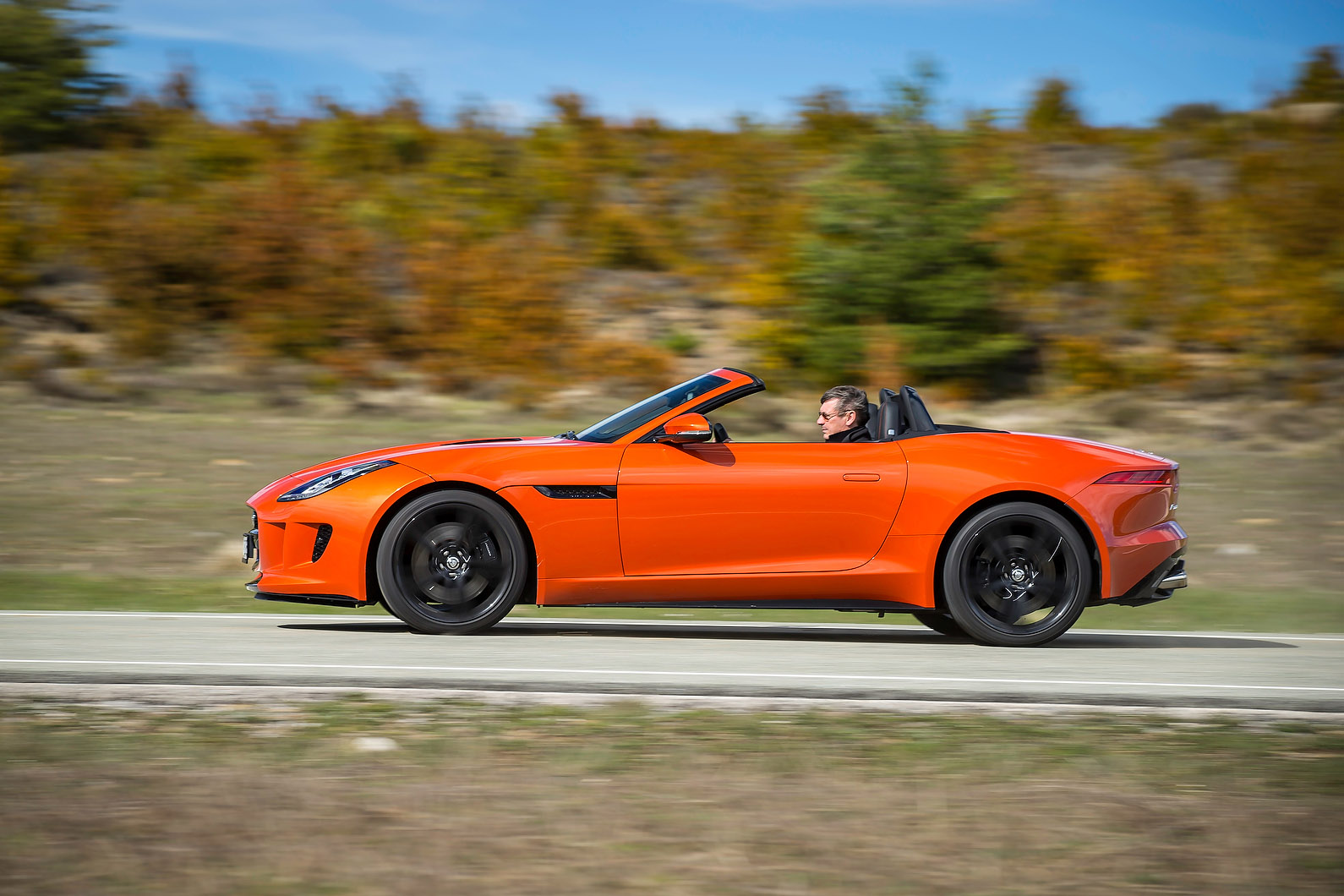 Jaguar F-Type photo #24