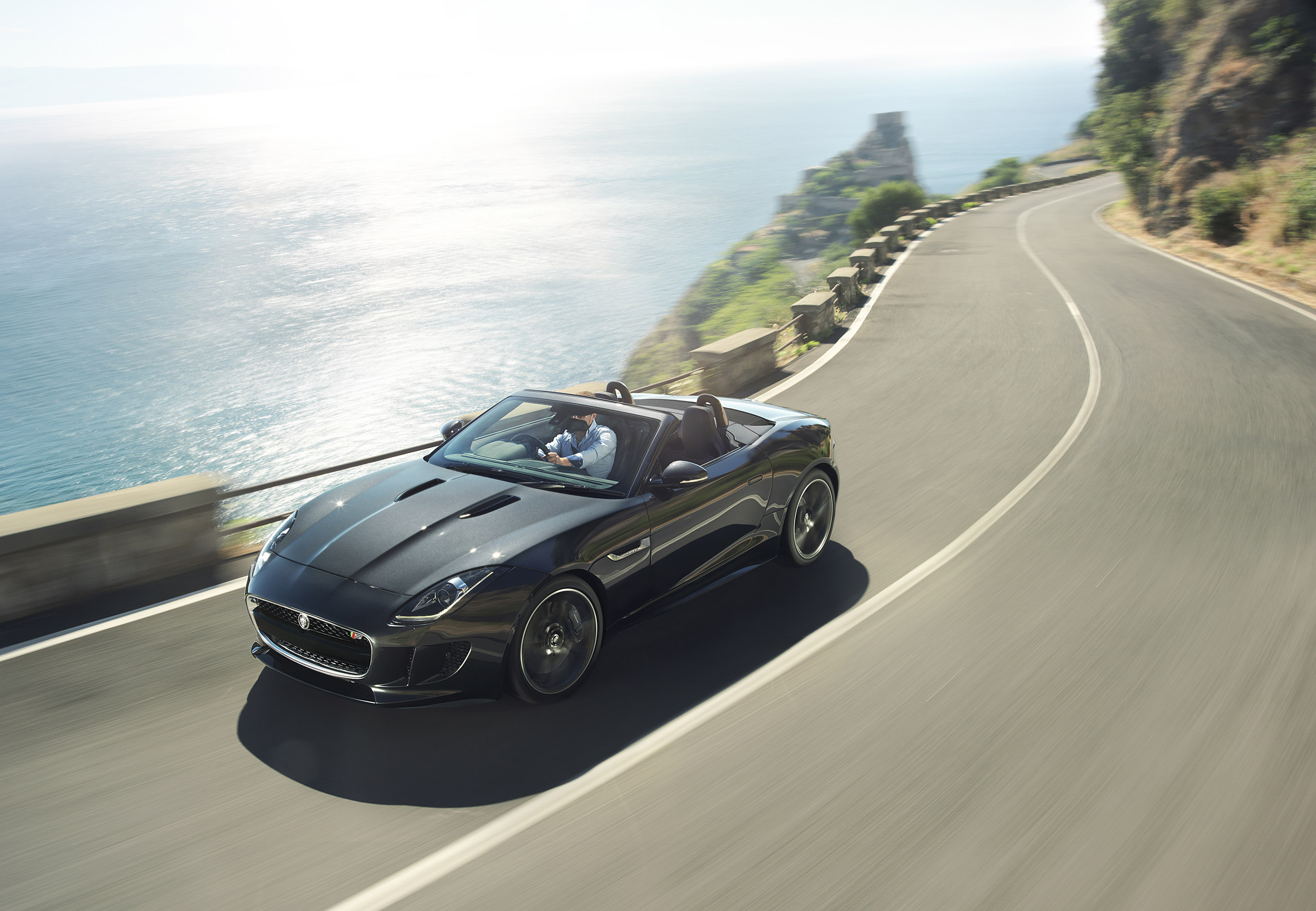 Jaguar F-Type photo #31