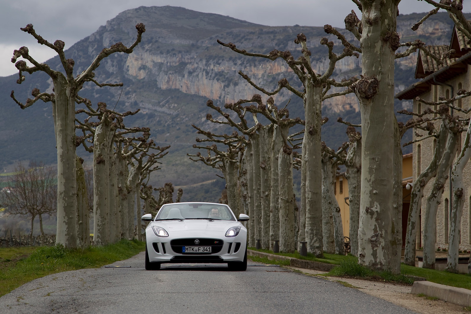 Jaguar F-Type photo #38