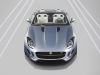 Jaguar F-Type 2014