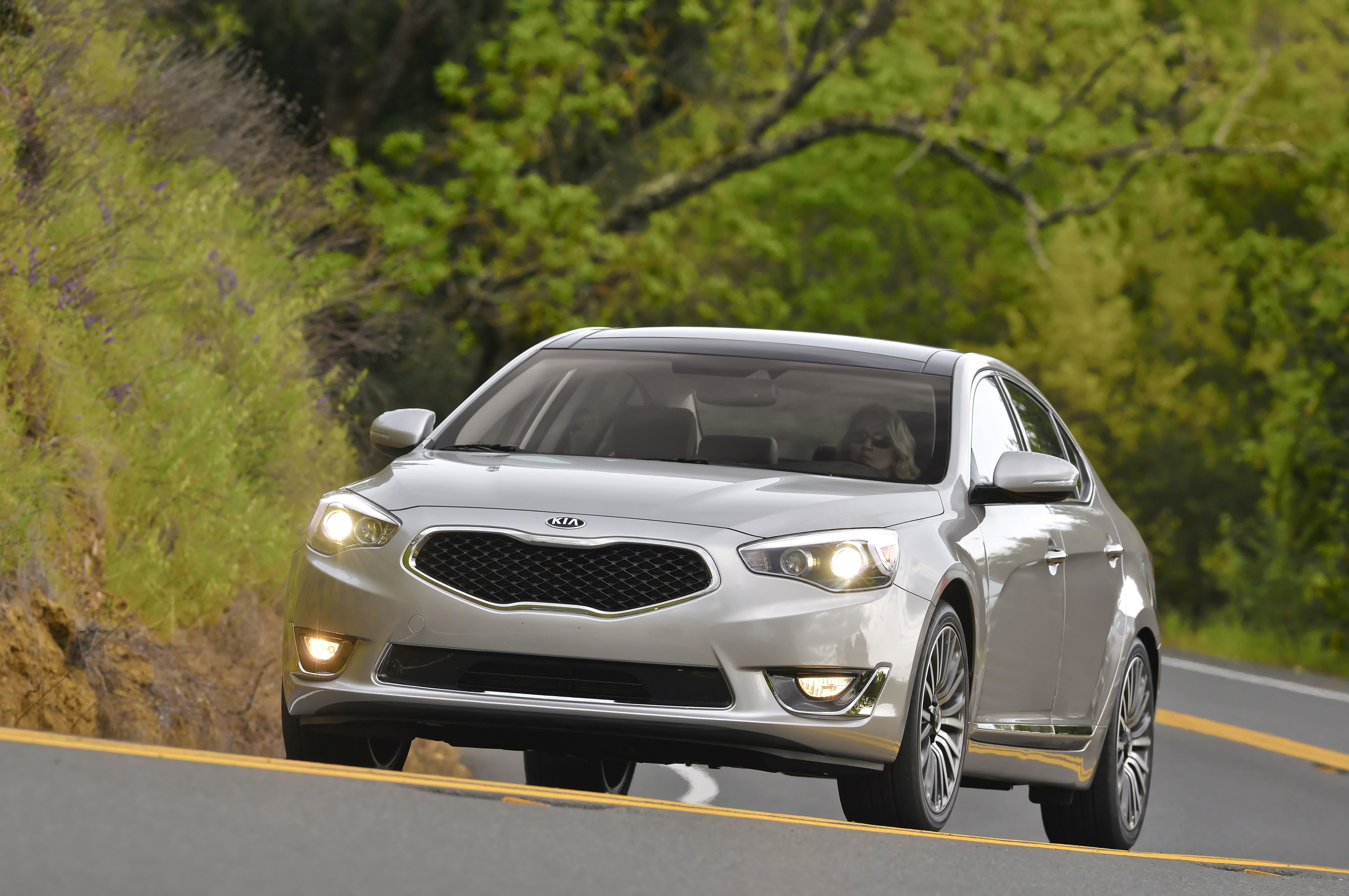 Kia Cadenza photo #15