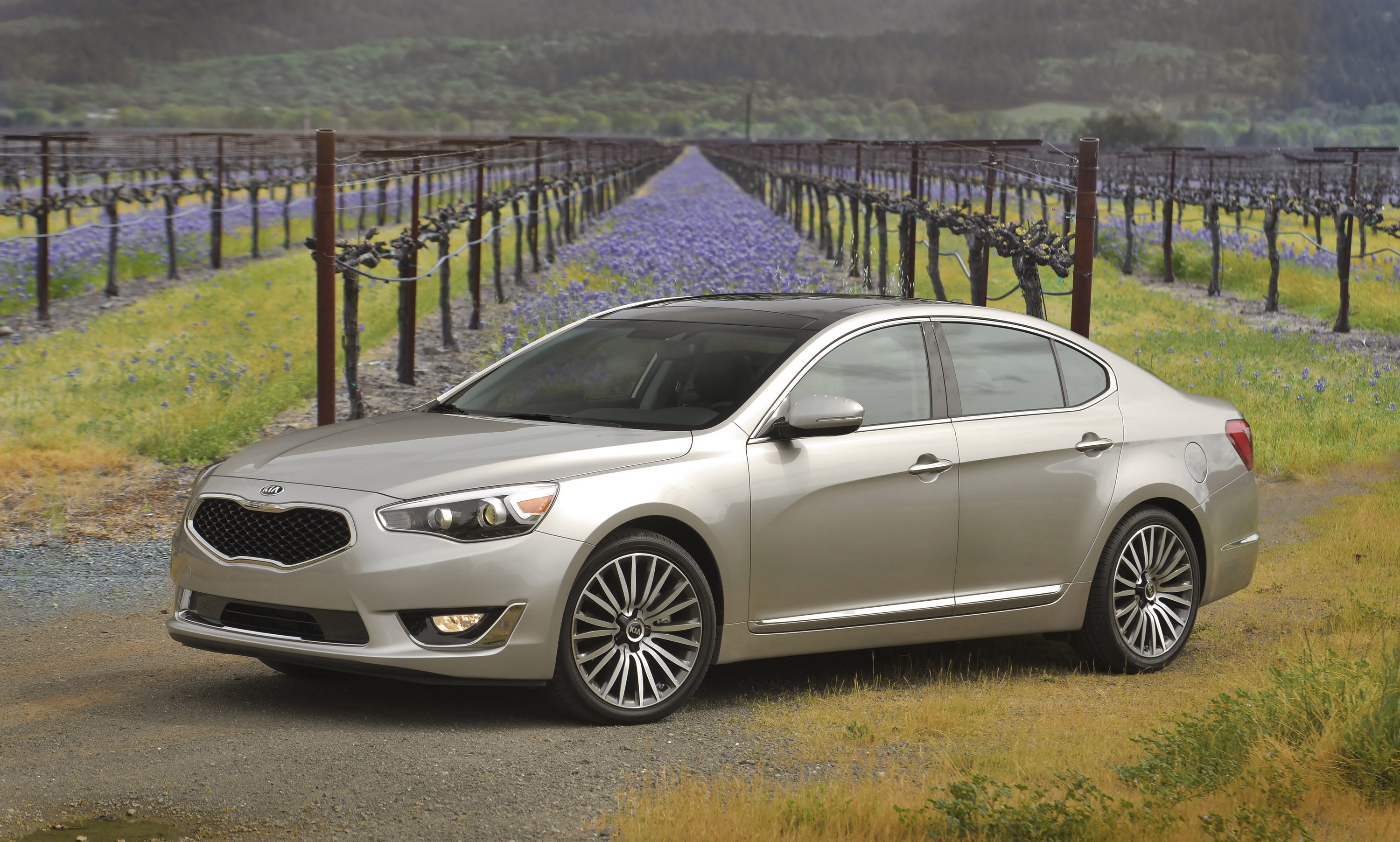 Kia Cadenza photo #17