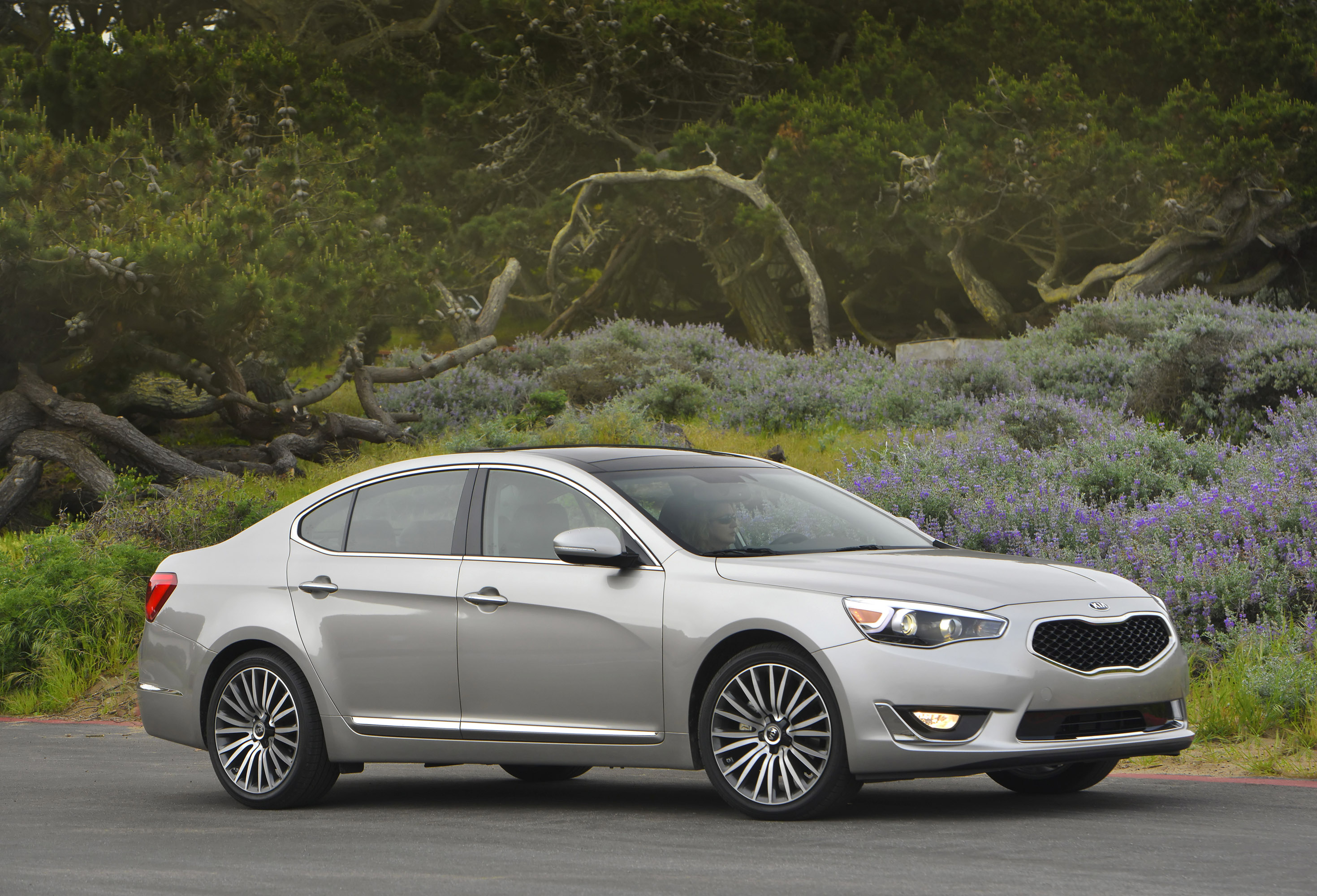 Kia Cadenza photo #39
