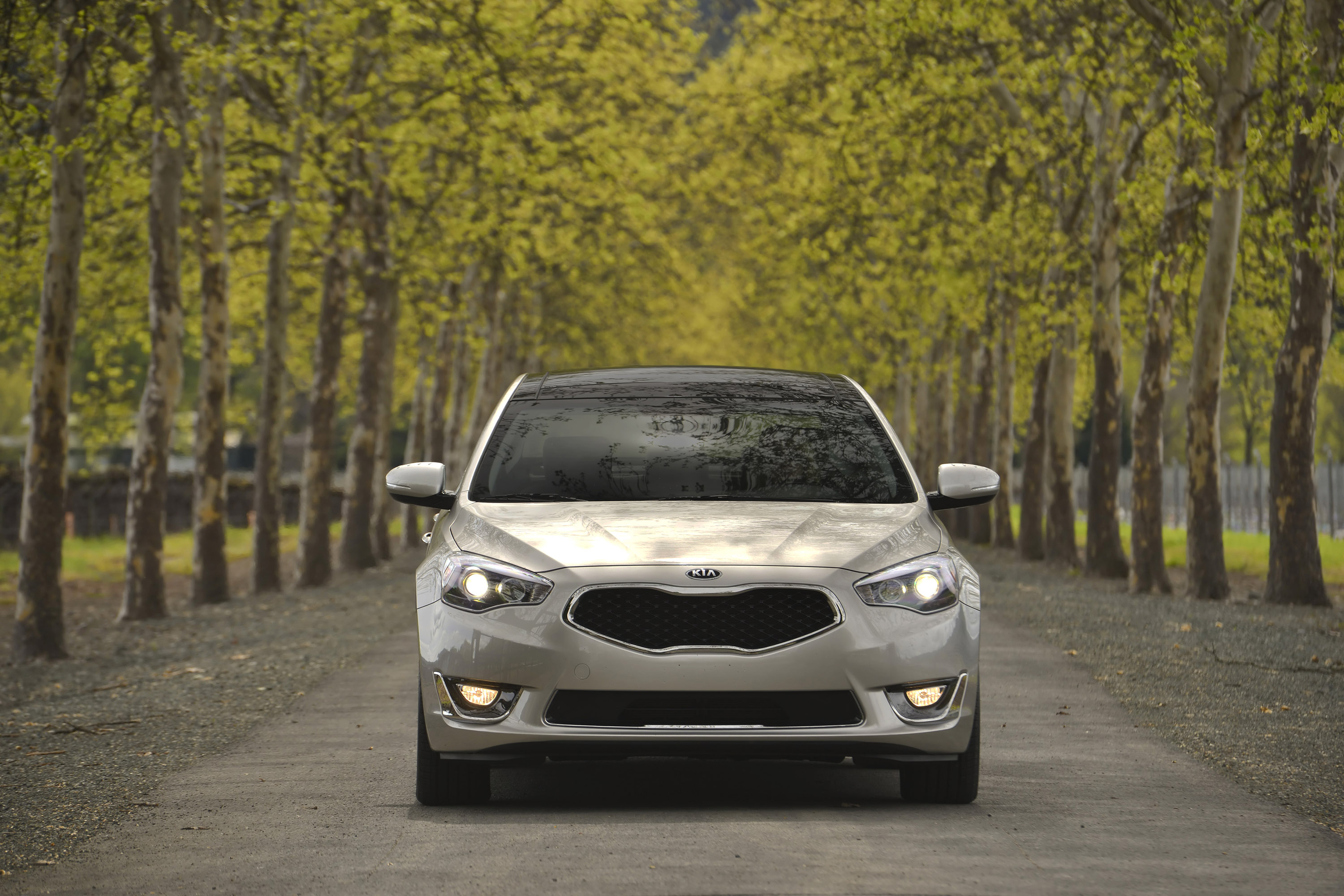 Kia Cadenza photo #42