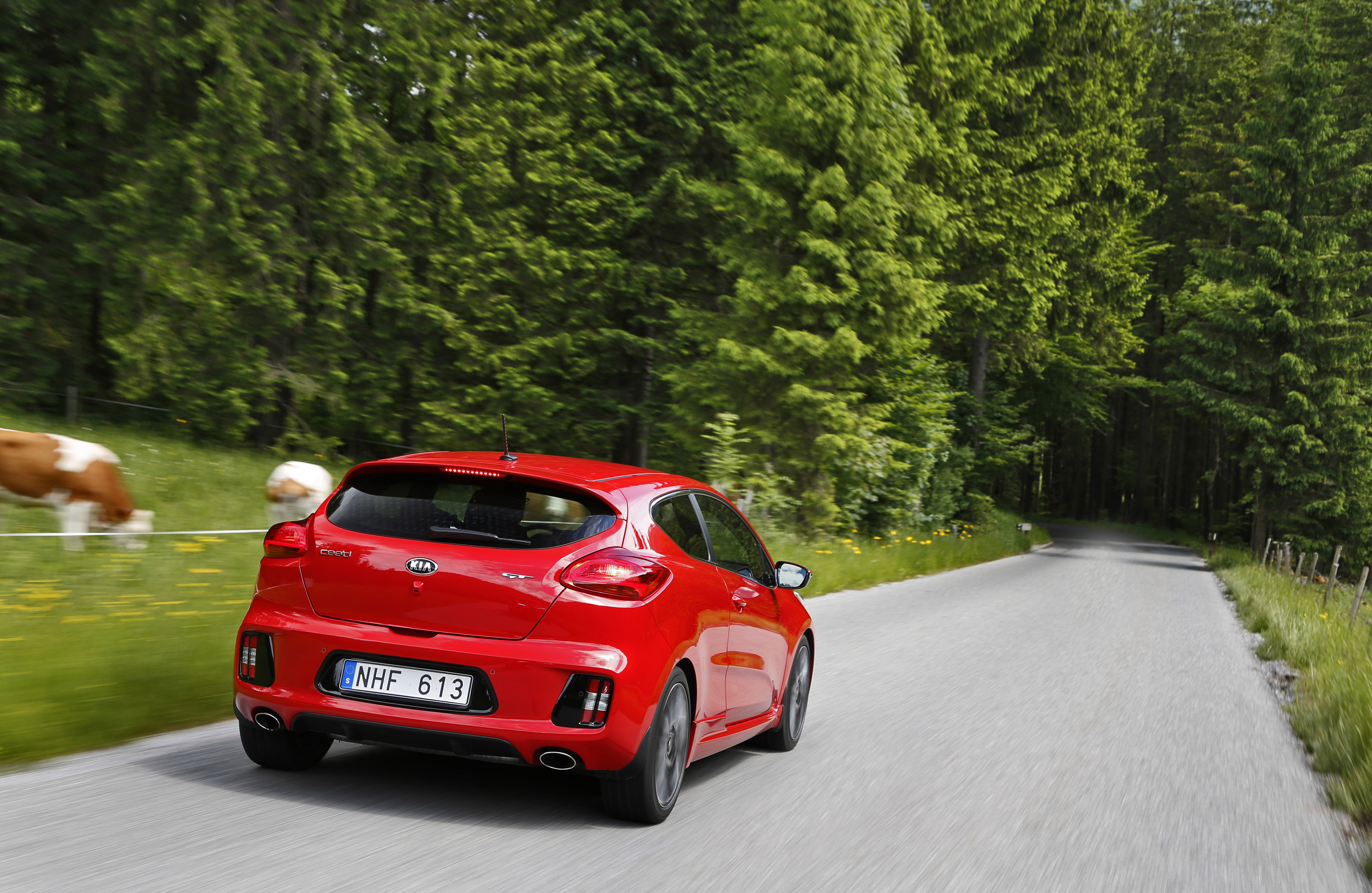 Kia Pro Ceed GT 3-door photo #47