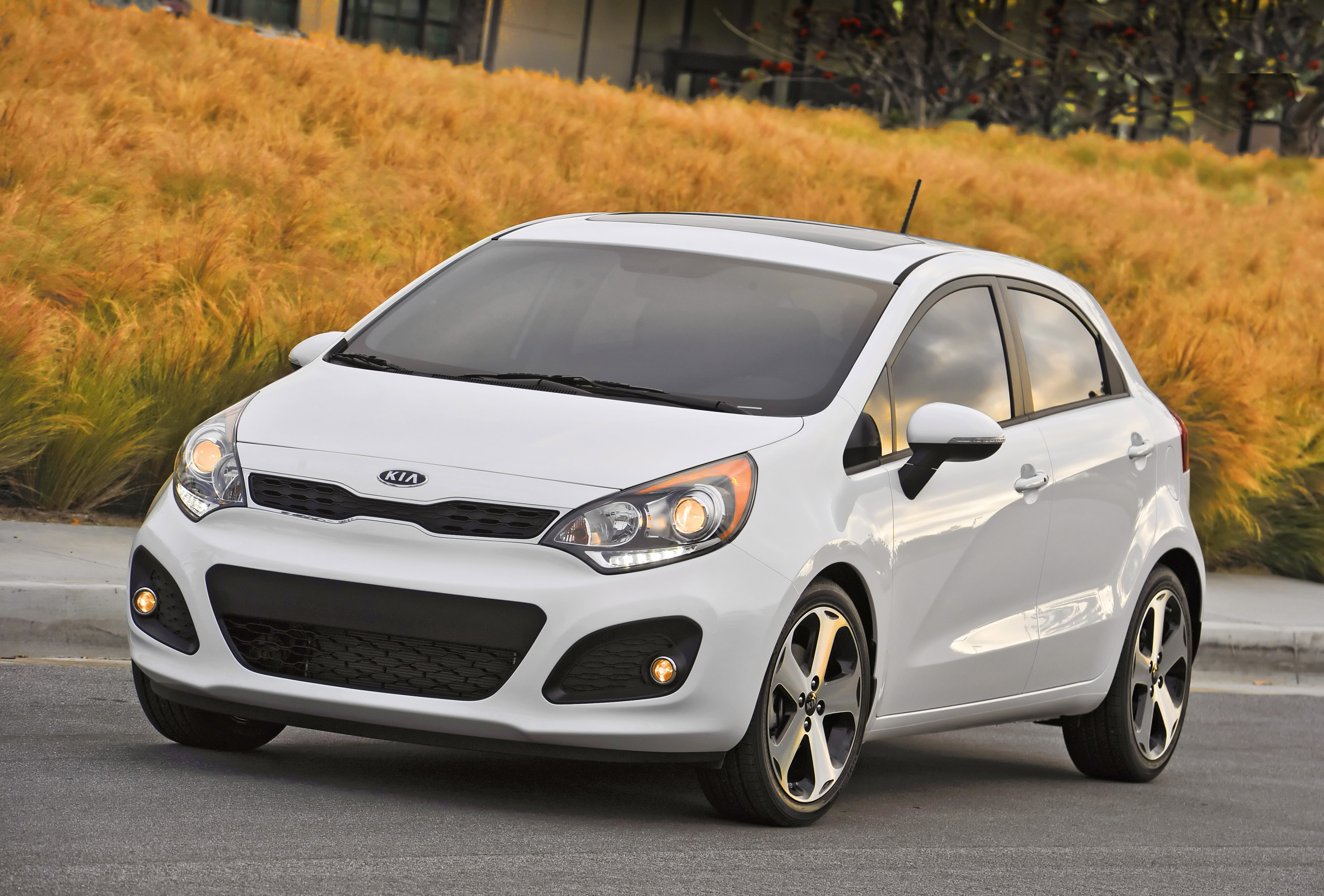 Kia Rio photo #5