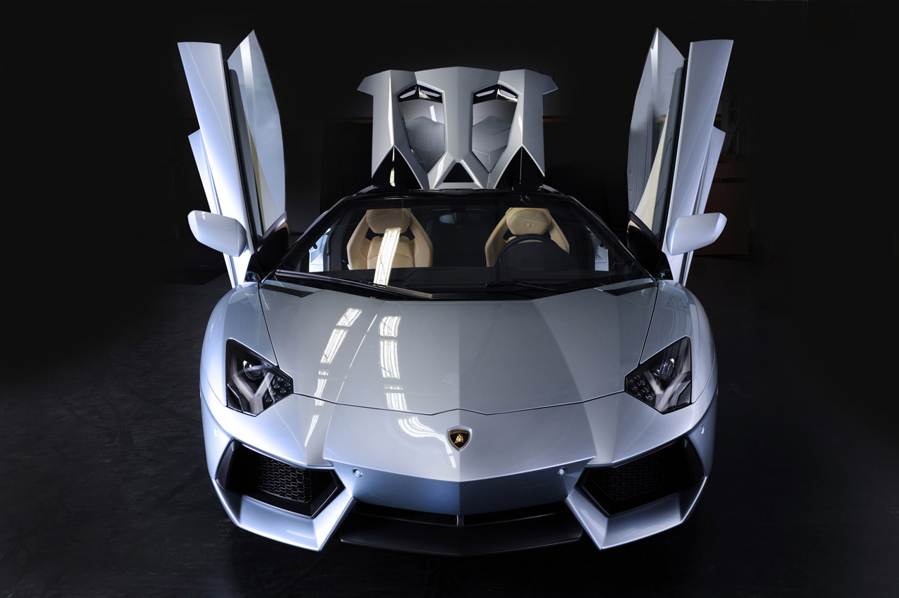 Lamborghini Aventador LP700-4 Roadster photo #38