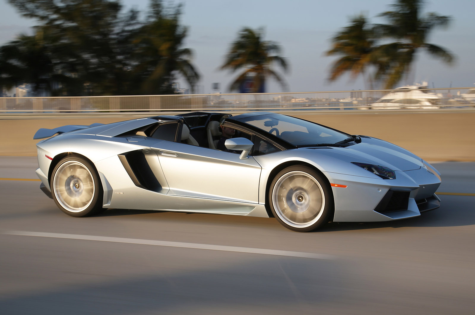 Lamborghini Aventador LP700-4 Roadster photo #61