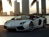 Lamborghini Aventador LP700-4 Roadster 2014