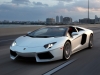 Lamborghini Aventador LP700-4 Roadster 2014