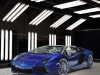 Lamborghini Aventador Roadster Ad Personam 2014