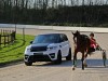 2014 LARTE Design Range Rover Sport Winner thumbnail photo 84937