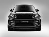 2014 Larte Range Rover Evoque thumbnail photo 69297